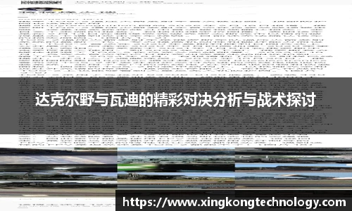 达克尔野与瓦迪的精彩对决分析与战术探讨